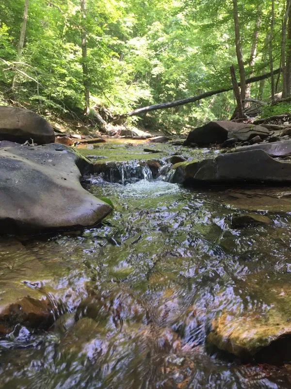 Fishing at Warrior Ridge