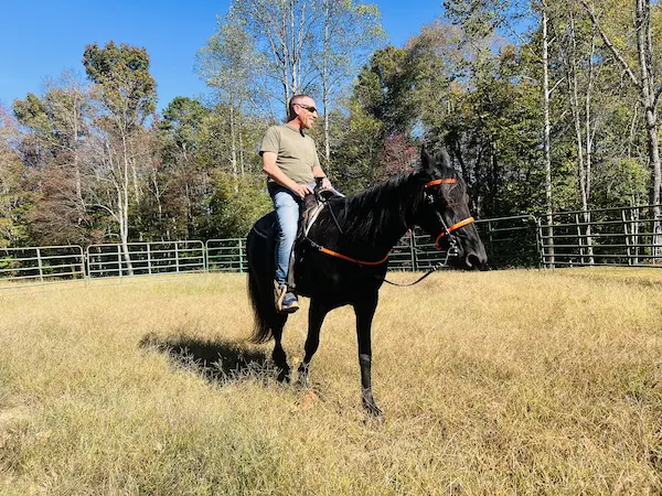 warrior ridge man on horse